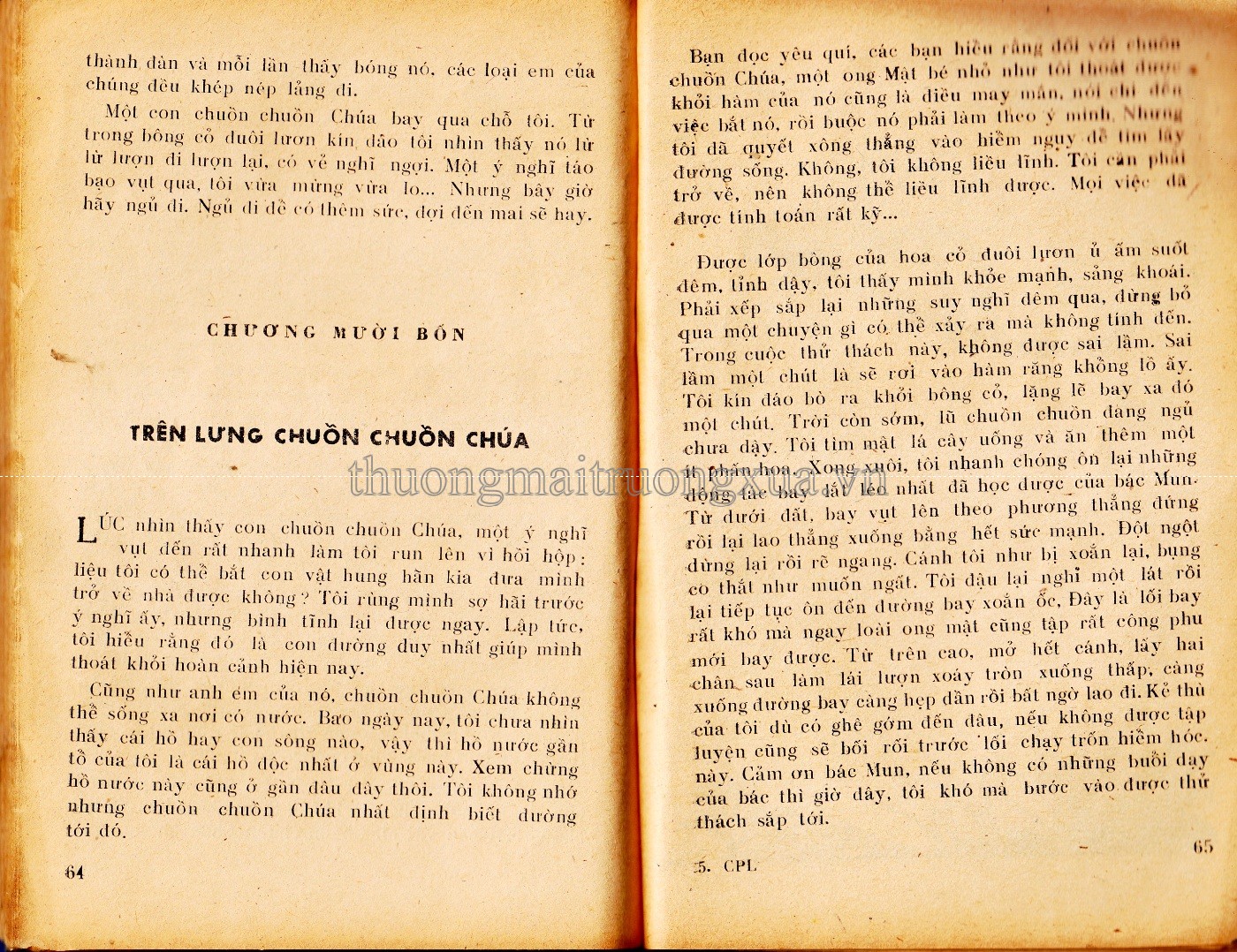 Cuộc phiêu lưu kì lạ của ong vàng (1981) - Trang 32