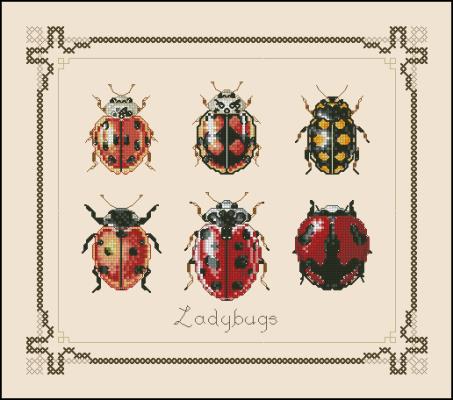 CMP 260001 Ladybugs