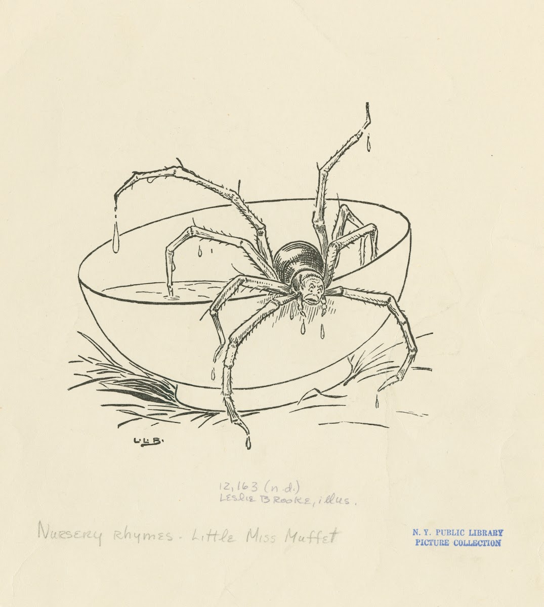 There came a big spider