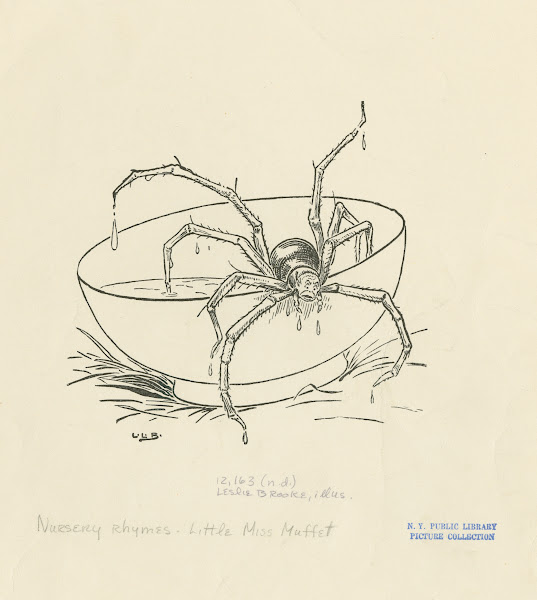 There came a big spider