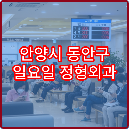 안양시 동안구 일요일 정형외과 진료 병원 골절·허리통증 상담 가능