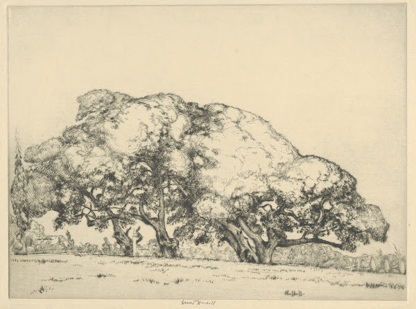 Gathering mushrooms in the forest 1927
