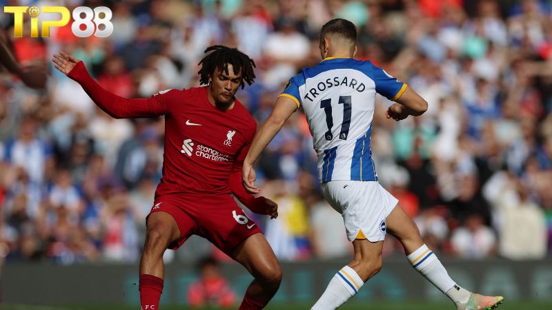 Lịch sử đối đầu Liverpool vs Brighton