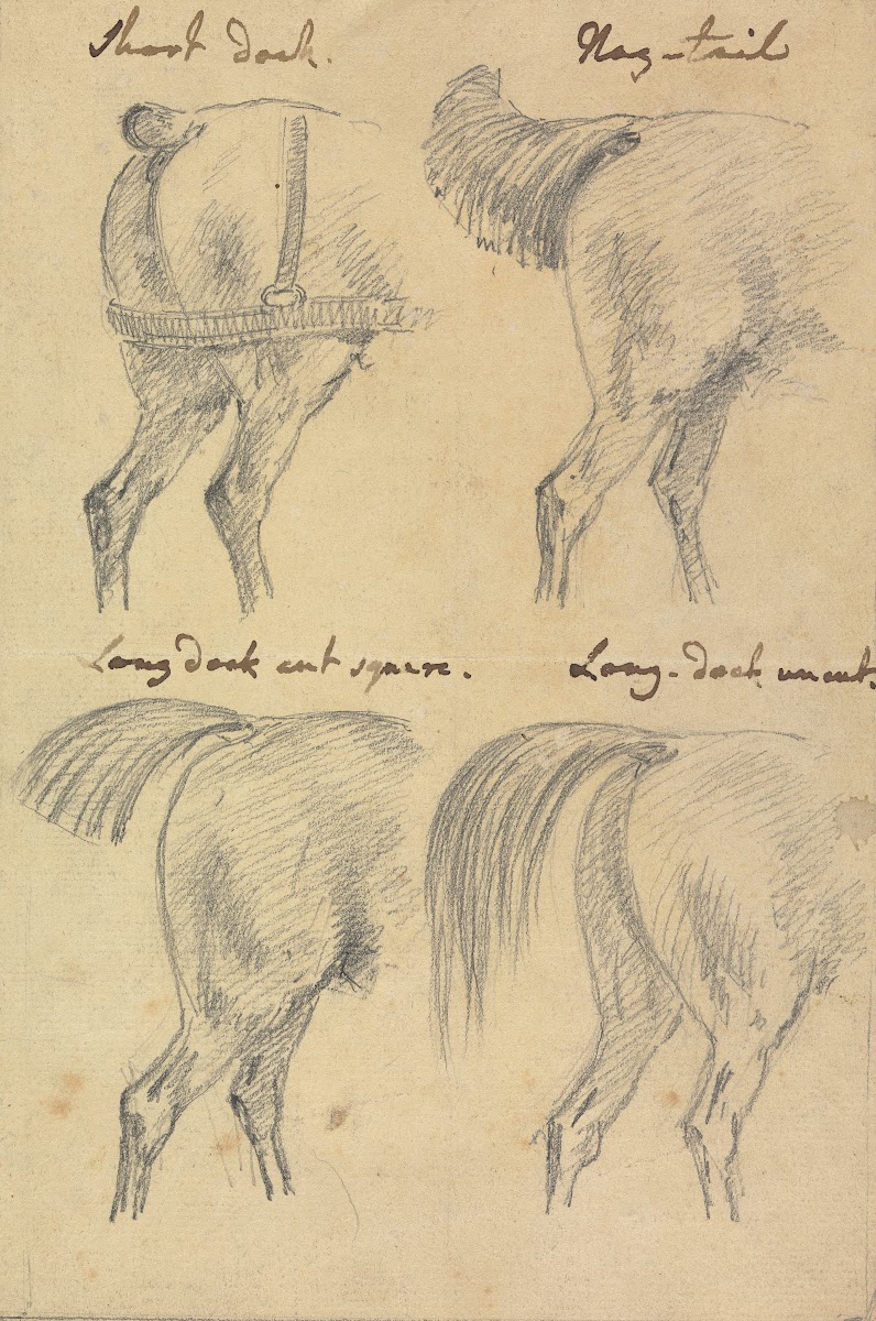 Four Sketches of Horse Tails 1760