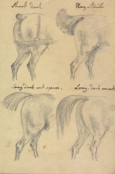 Four Sketches of Horse Tails 1760