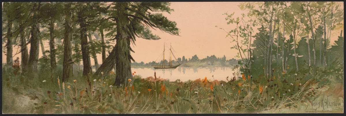 Old hemlocks 1891
