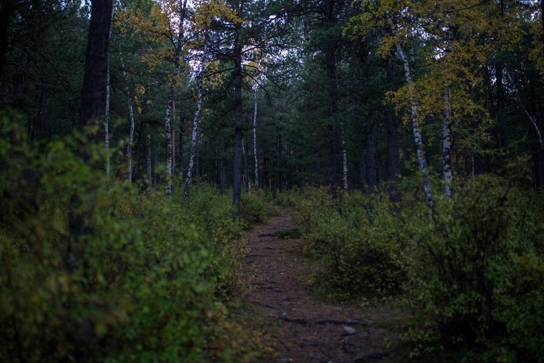2026 서울 근교 피크닉 명소 심층 분석: 가성비 자연 휴양지 추천