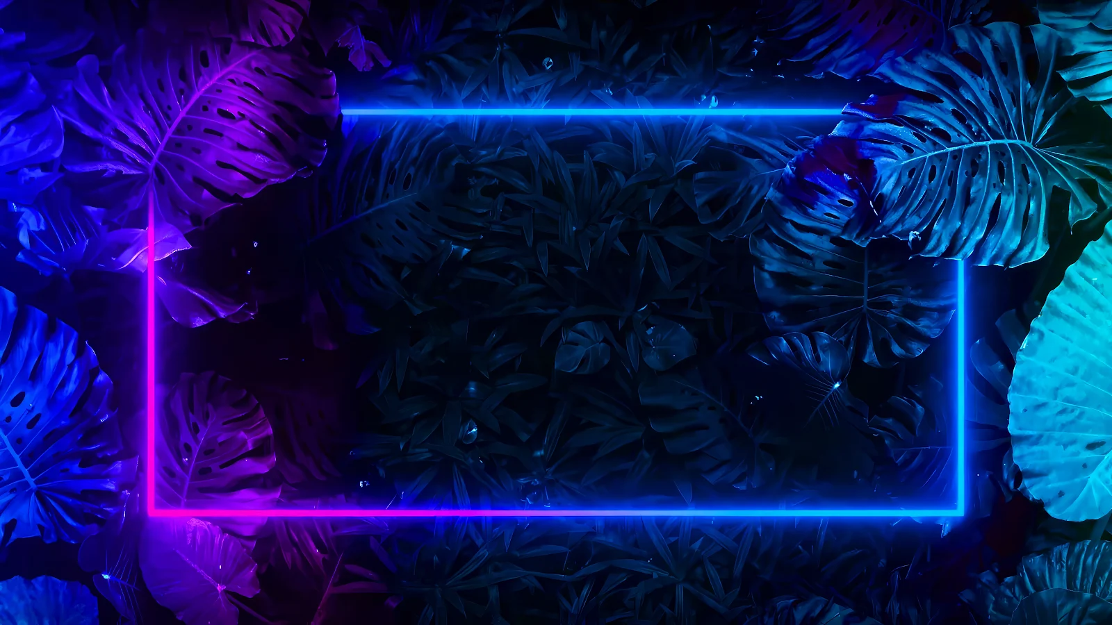 Tropical, Neon, Monstera, Dark 4K Wallpaper Background (4800x2700)