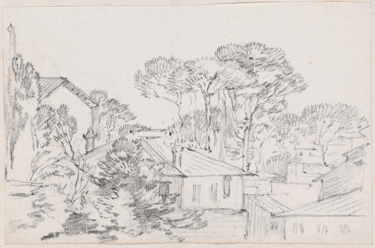 Rooftops and Umbrella Pines 1744 1750