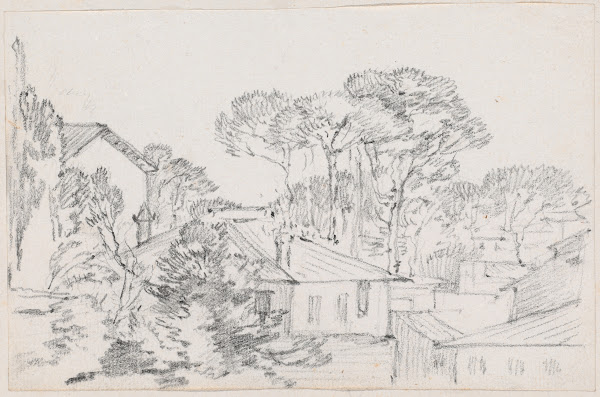 Rooftops and Umbrella Pines 1744 1750