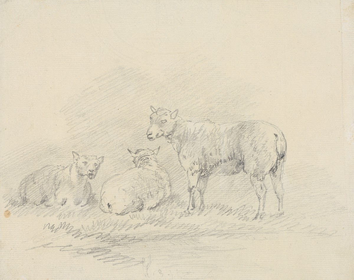 Three Sheep