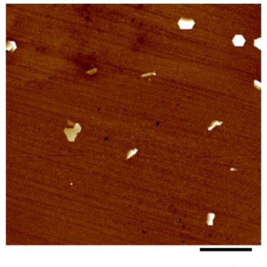 Innovative scheme for hemimorphite flotation: Synergistic activation performance and mechanism