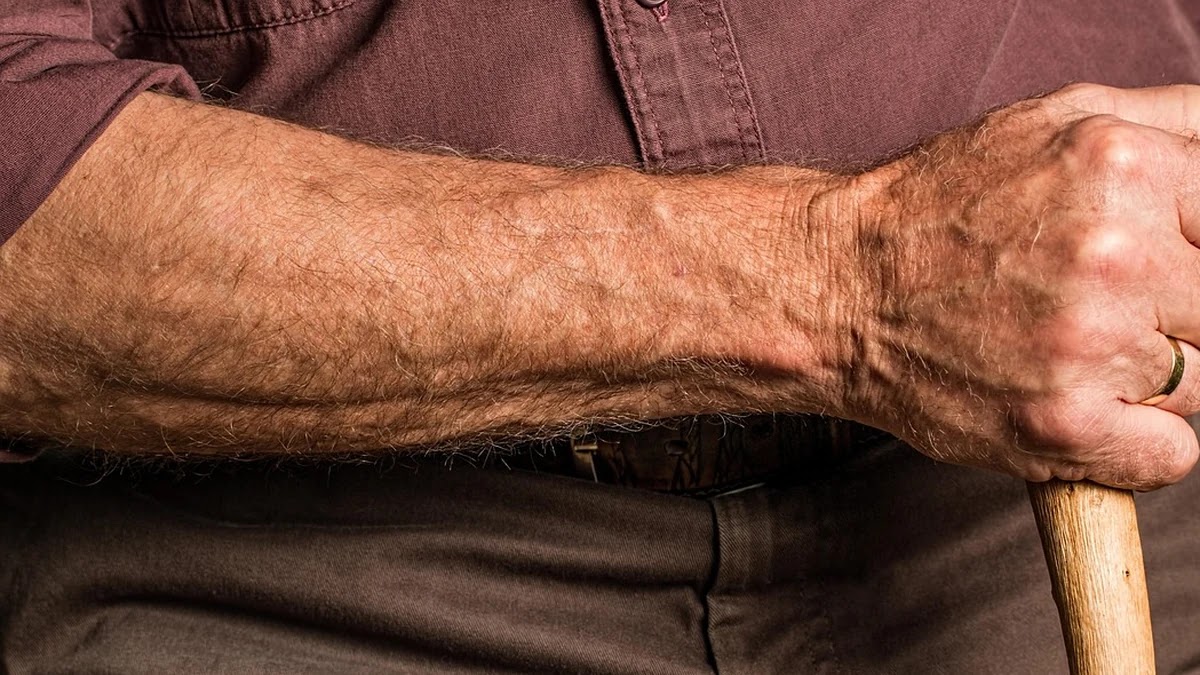 재산분할 대상에 포함되는 퇴직금, 주식, 전세보증금 산정 기준과 사례