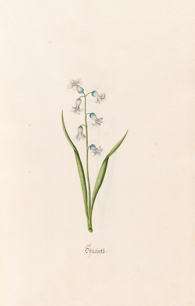 Hÿacints 1692