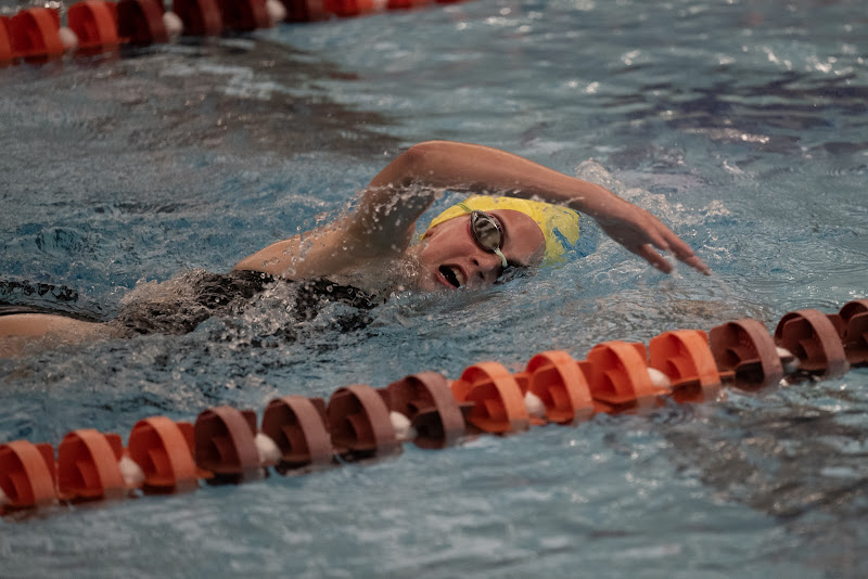 Photo from 2023.09.21 Swimming