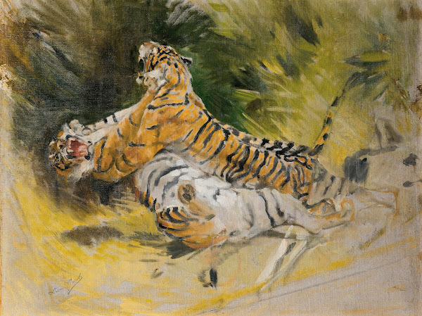 Two tigers fighting
