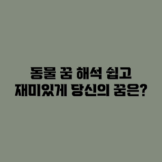 동물꿈해몽, 꿈해석 초보, 간단한 꿈풀이, 꿈의미 이해, 동물꿈 의미