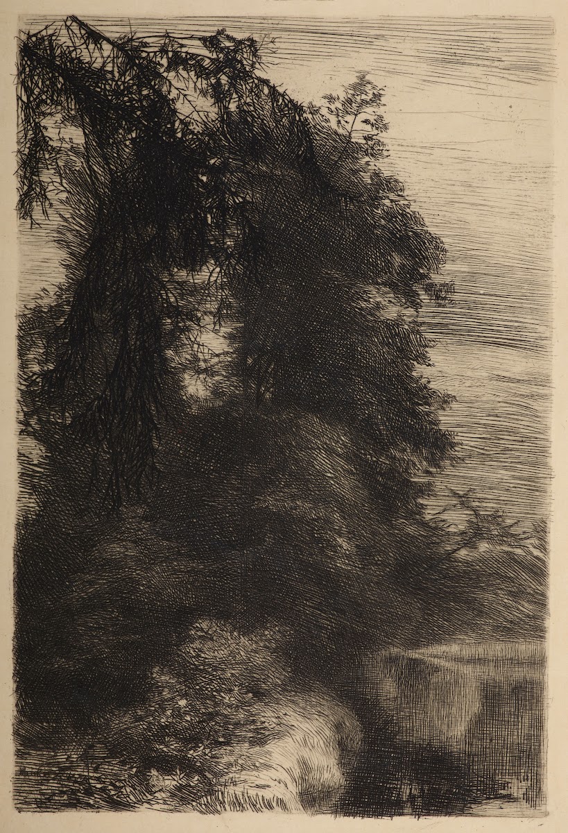 Alley by the water in Duboj 1896