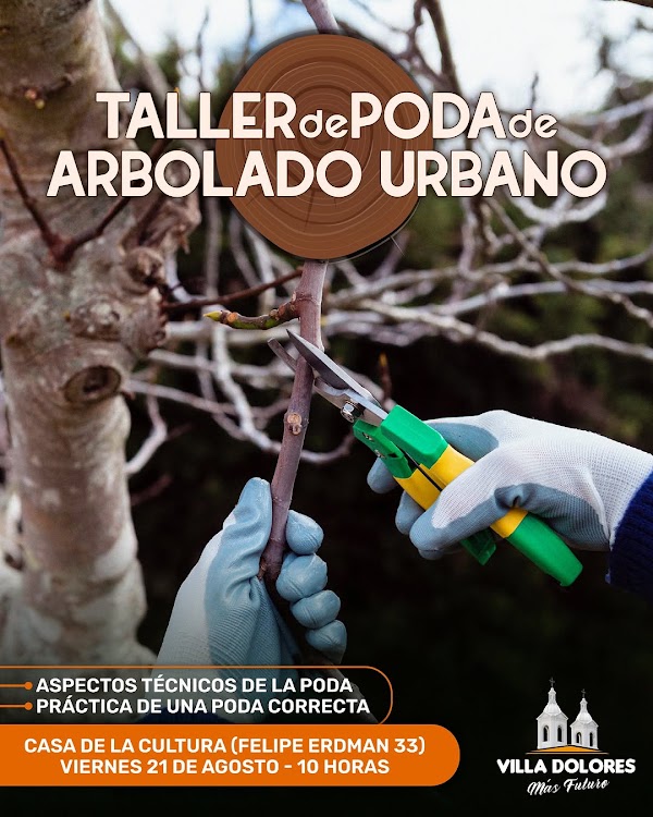 Taller de Poda de Arbolado Urbano