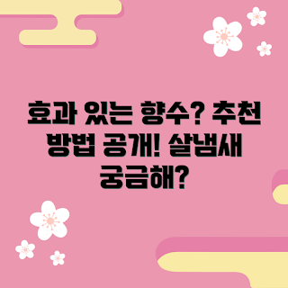 살냄새향수 추천, 초보자 향수, 향수 선택 팁, 효과적인 향수, 향수 사용법