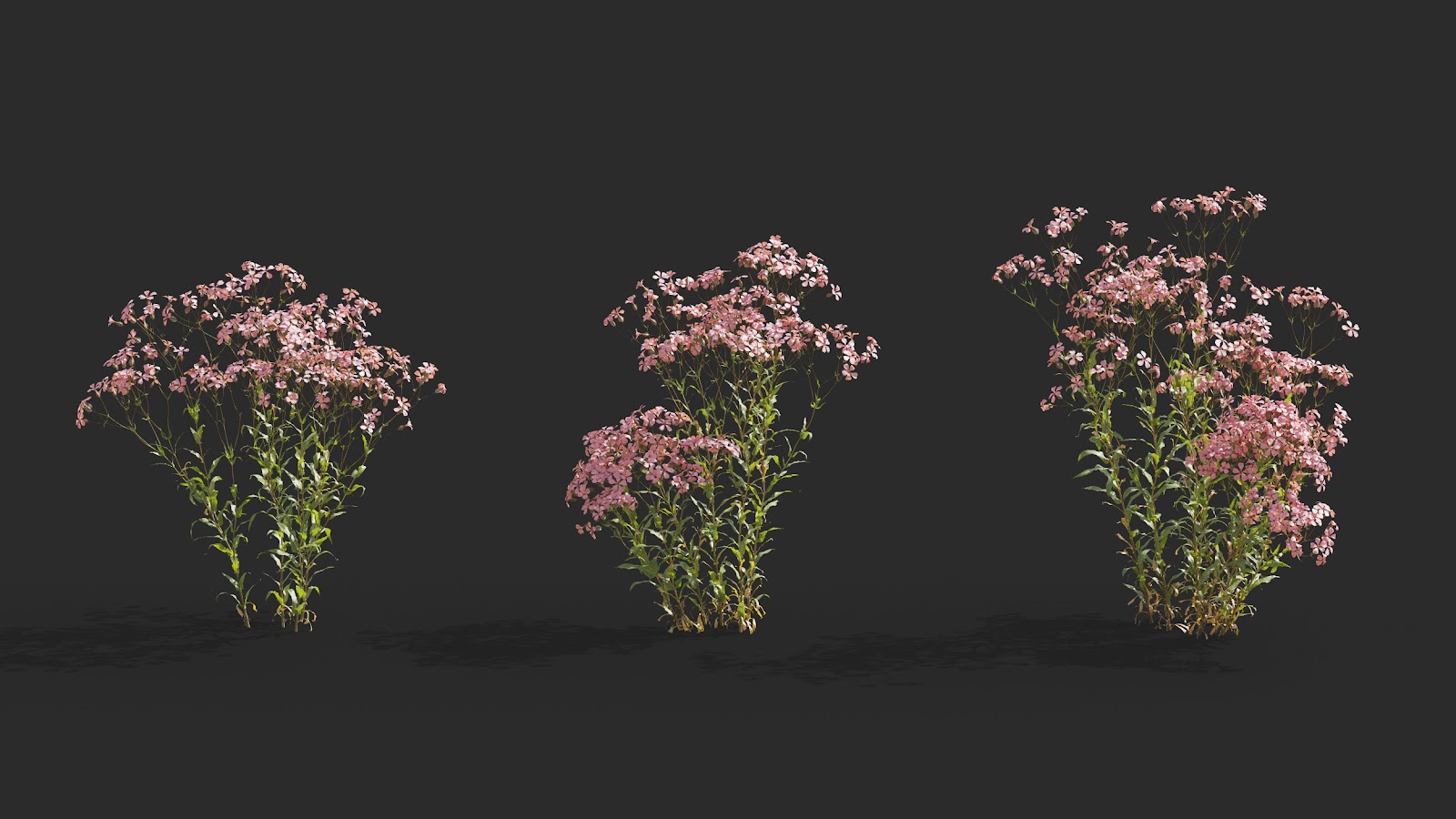 Maxtree - Plant Models Vol.64