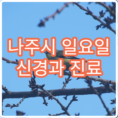 나주시 일요일 신경과 진료 병원 – 편두통, 어지럼증, 신경질환 주말 진료 안내