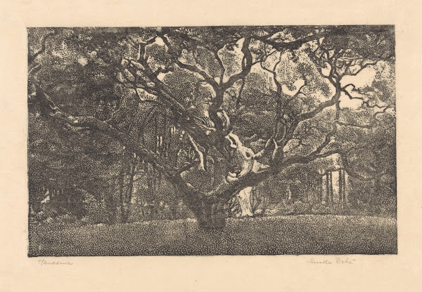 Bos in Bergen 20th century