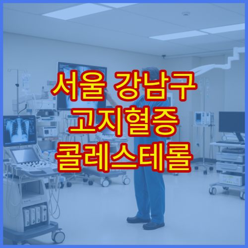 서울 강남구 고지혈증 콜레스테롤 이상 증상 치료 전문 병원 추천