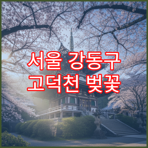 서울 강동구 고덕천 벚꽃 야경 저녁 8시 조용한 포인트 TOP5