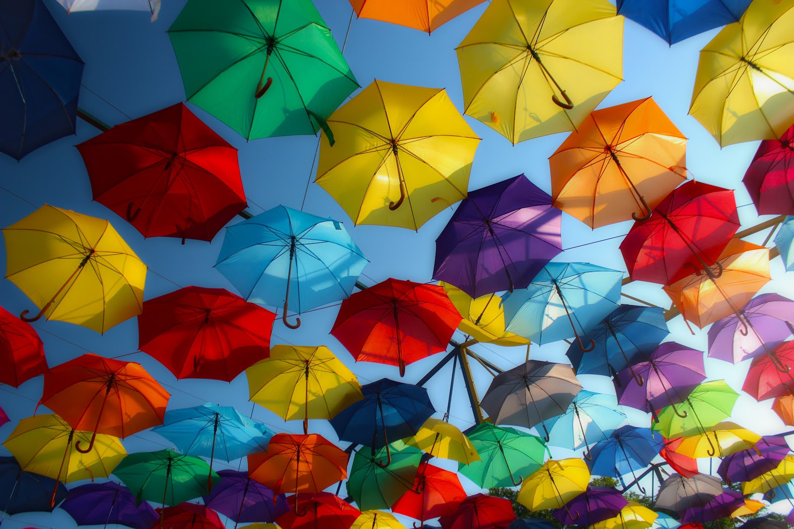 Colorful Umbrellas Wallpaper