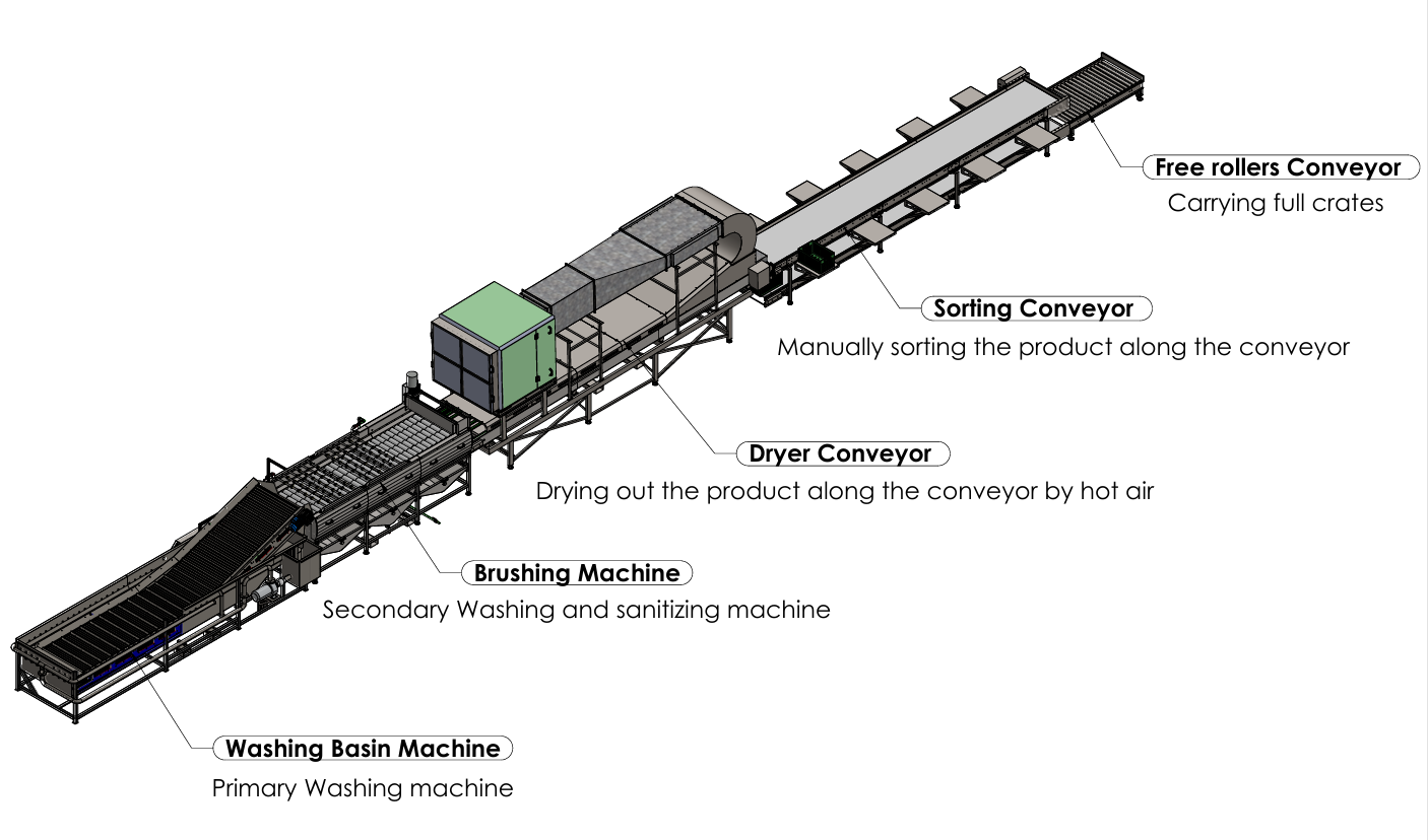 SANAM Sweet Potato Washing Line — Complete Engineering Layout