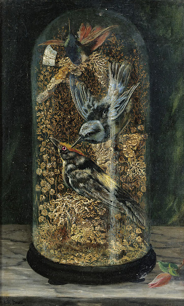 Stuffed Birds In A Dome 1867