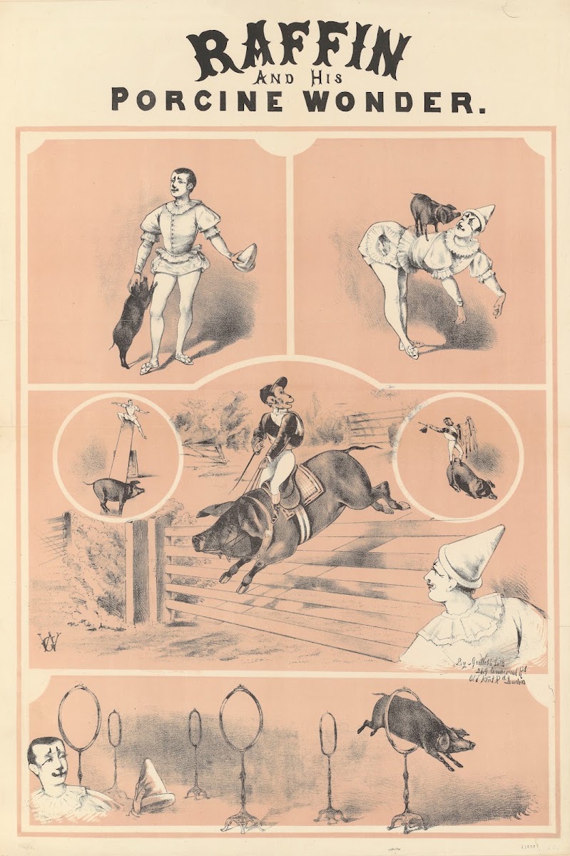 Raffin and his porcine wonder 1885 1890