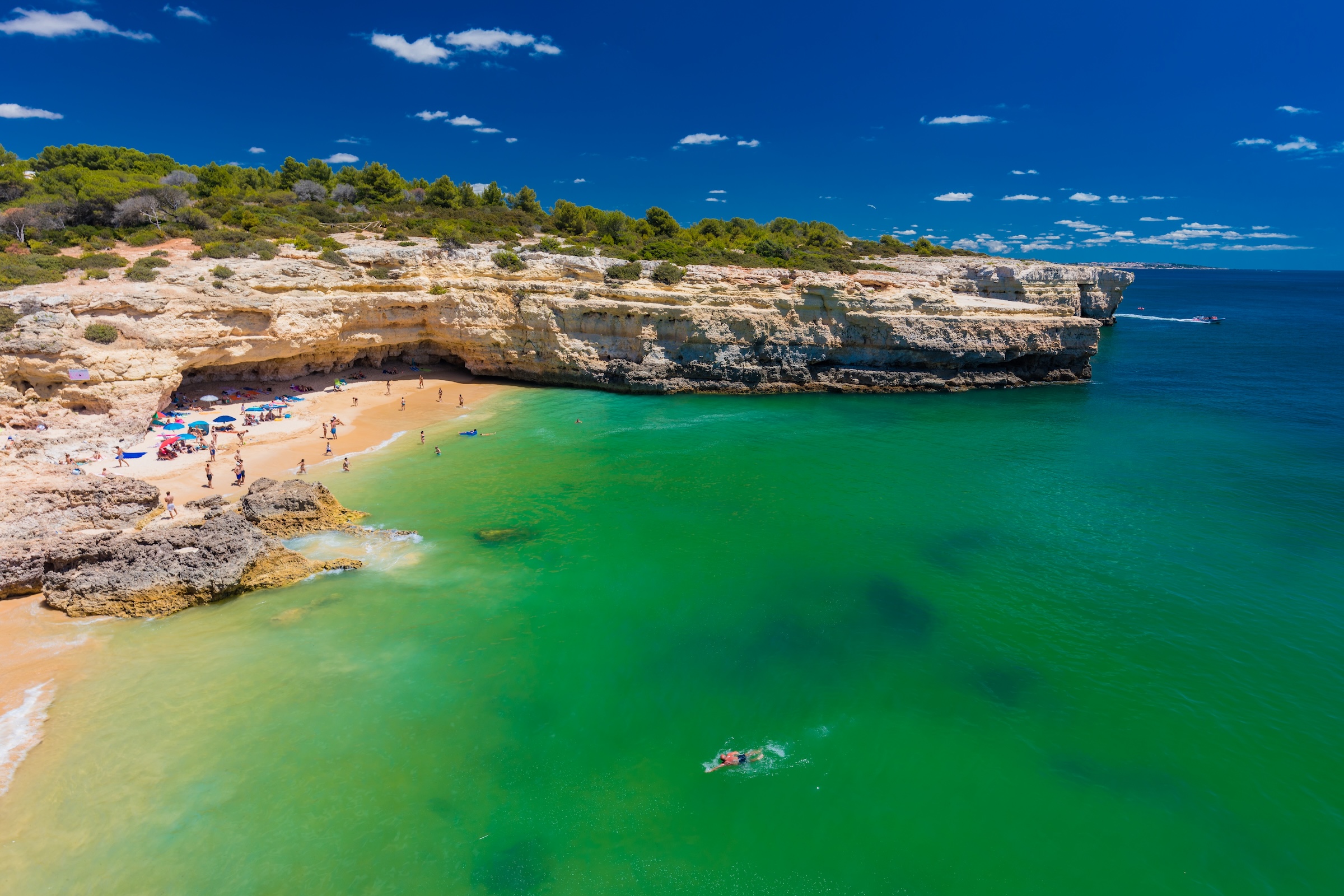 Best Time to Visit Pine Cliffs: Month-by-Month — view 1