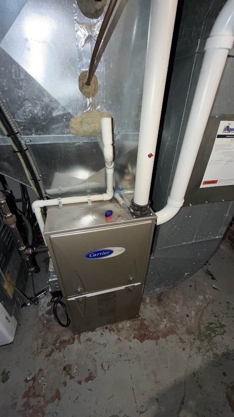 Copy of IMG_2026-03-13_14-42-24_080.jpg