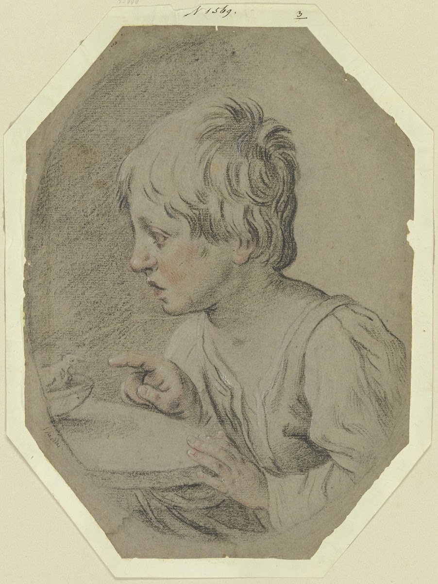Boy with bird