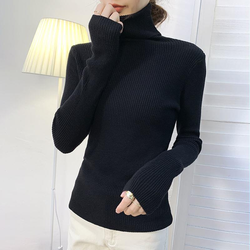 Women’s turtleneck sweater, long-sleeved, plus sizes