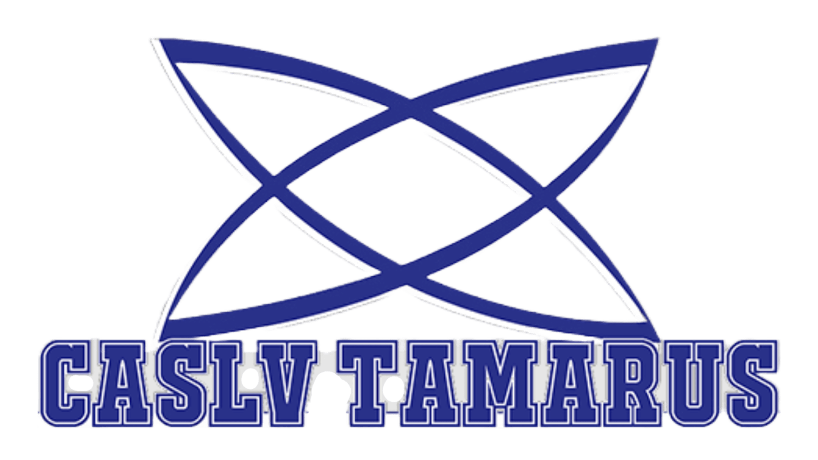 CASLV Tamarus Parent Teacher Organization Logo