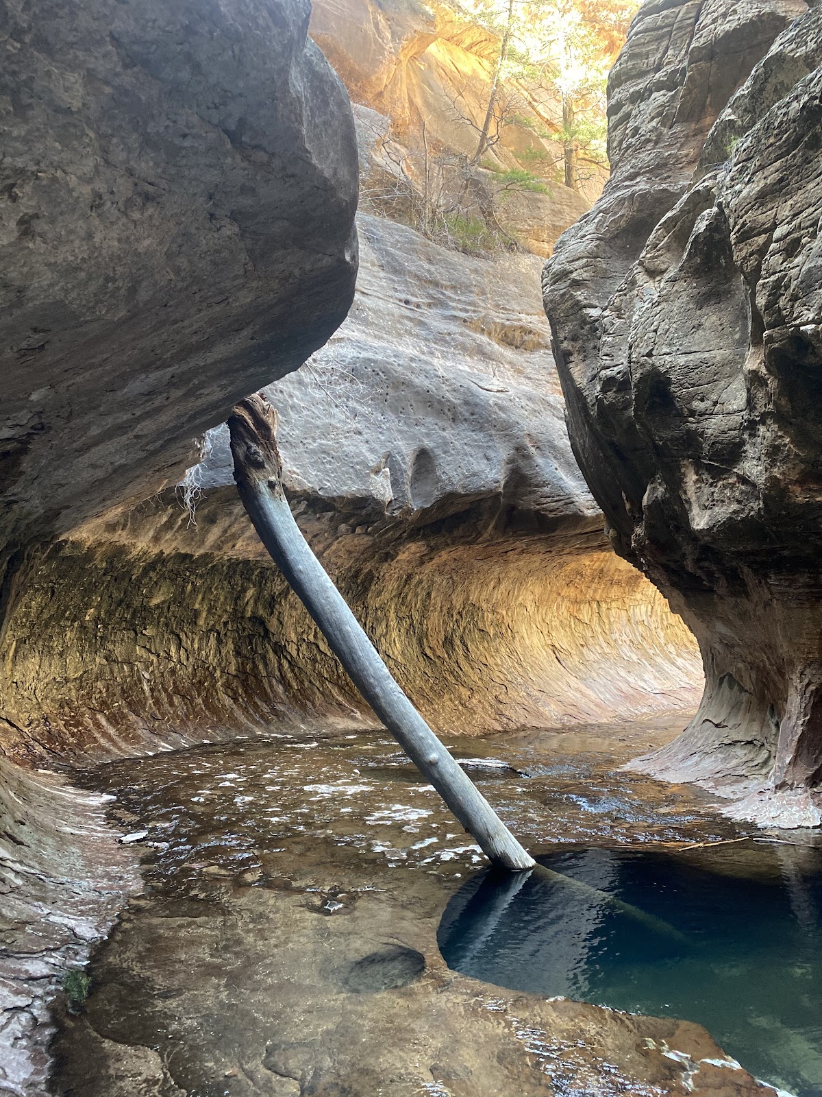 Bonaventure on-site at National Park