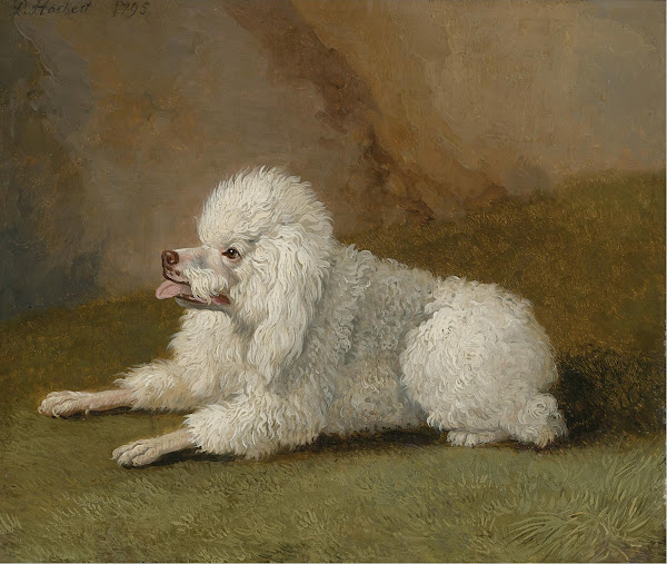 Porträt Eines Pudels 1795