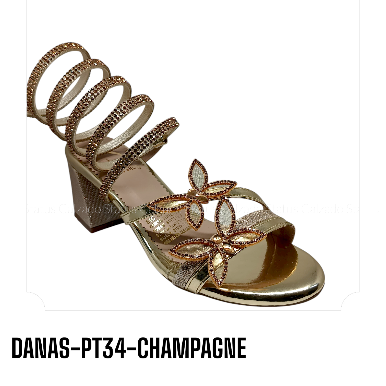 DANAS-PT34-CHAMPAGNE