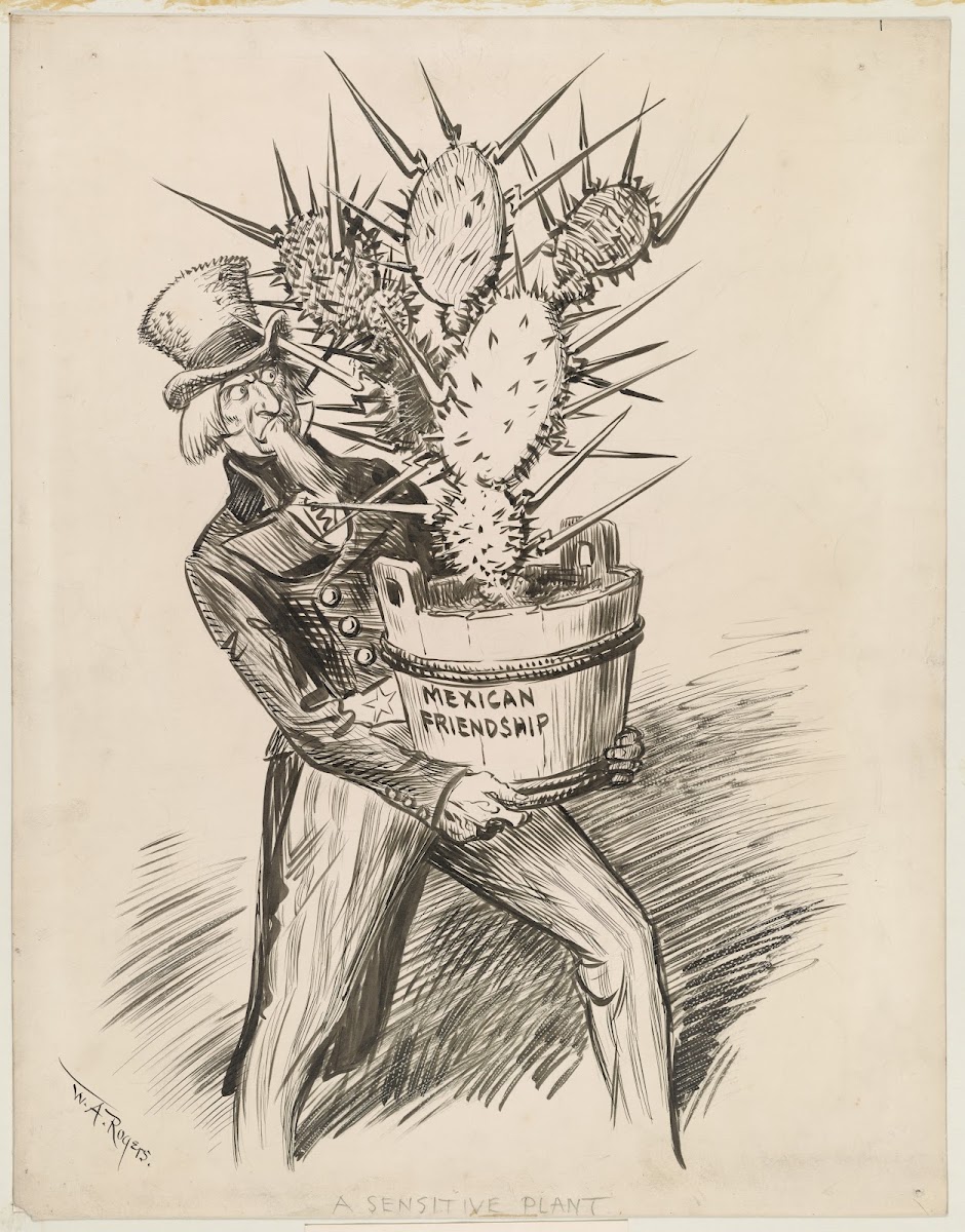 A sensitive plant 1916