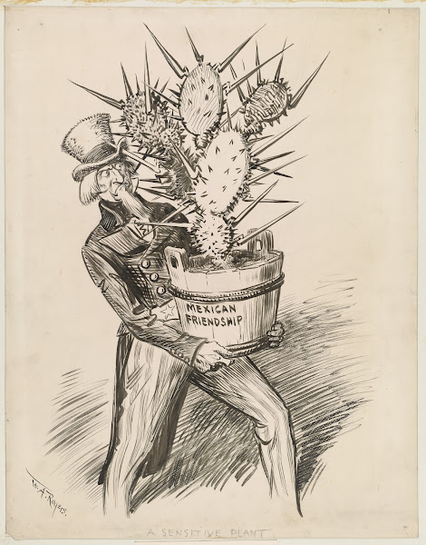 A sensitive plant 1916