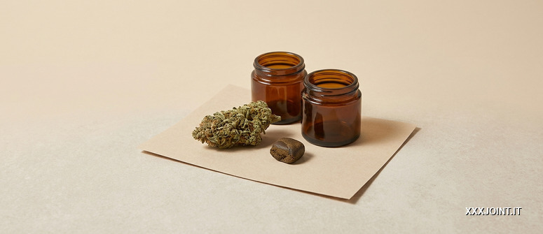 Dettaglio editoriale di infiorescenze e preparazioni neutre per rappresentare composizioni diverse di cannabinoidi