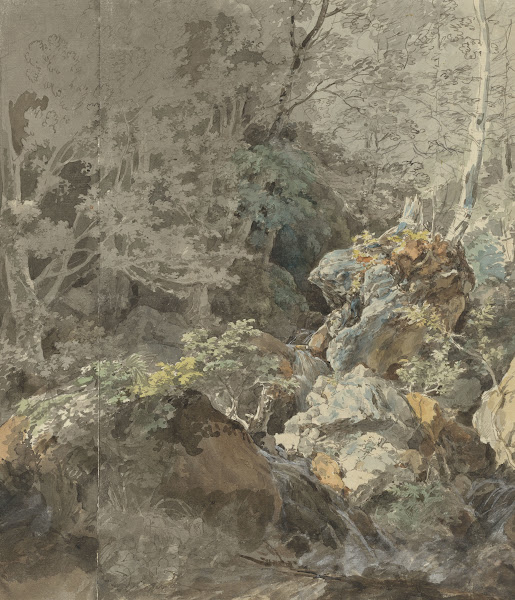 Waterfalls in a Mountain Forest 1797