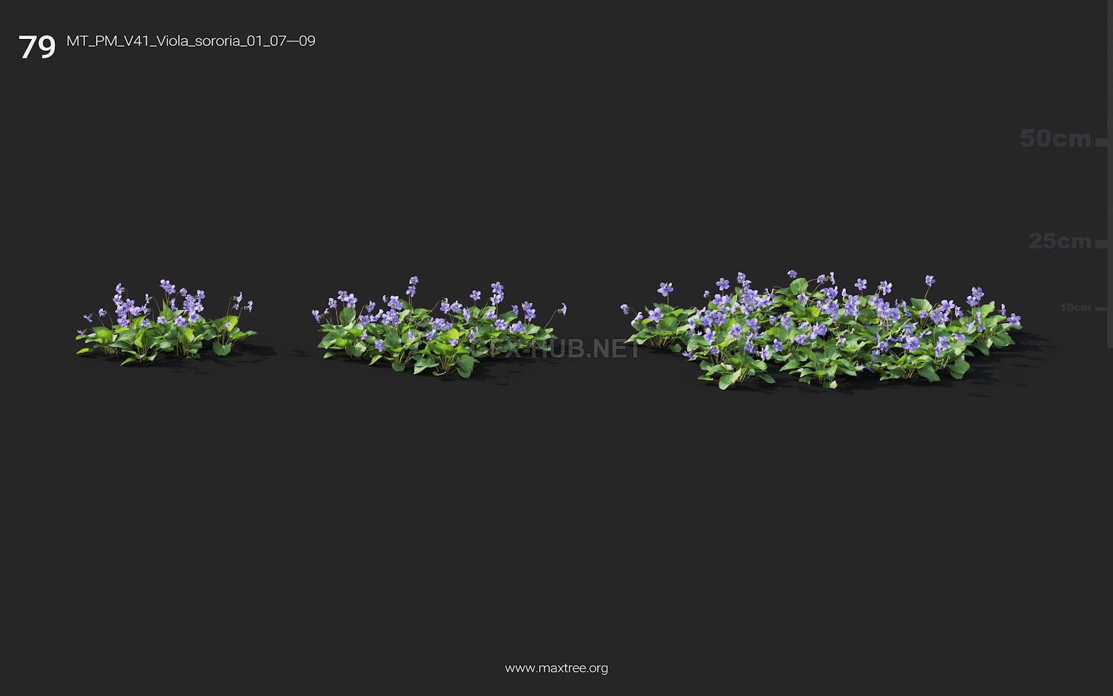 Maxtree - Plant Models Vol.41