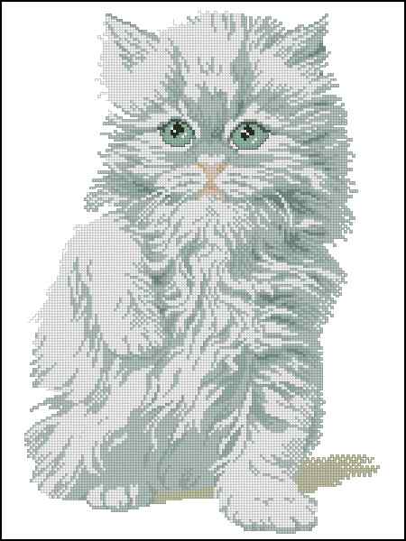 CMP 400502 White Kitten