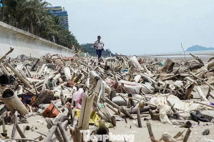 Cảnh tượng kinh hoàng ở bãi biển Hải Tiến - Báo Tiền Phong