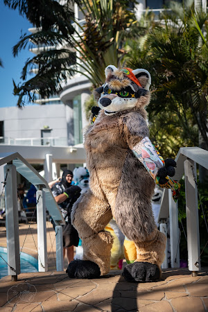 furdu-03852.jpg