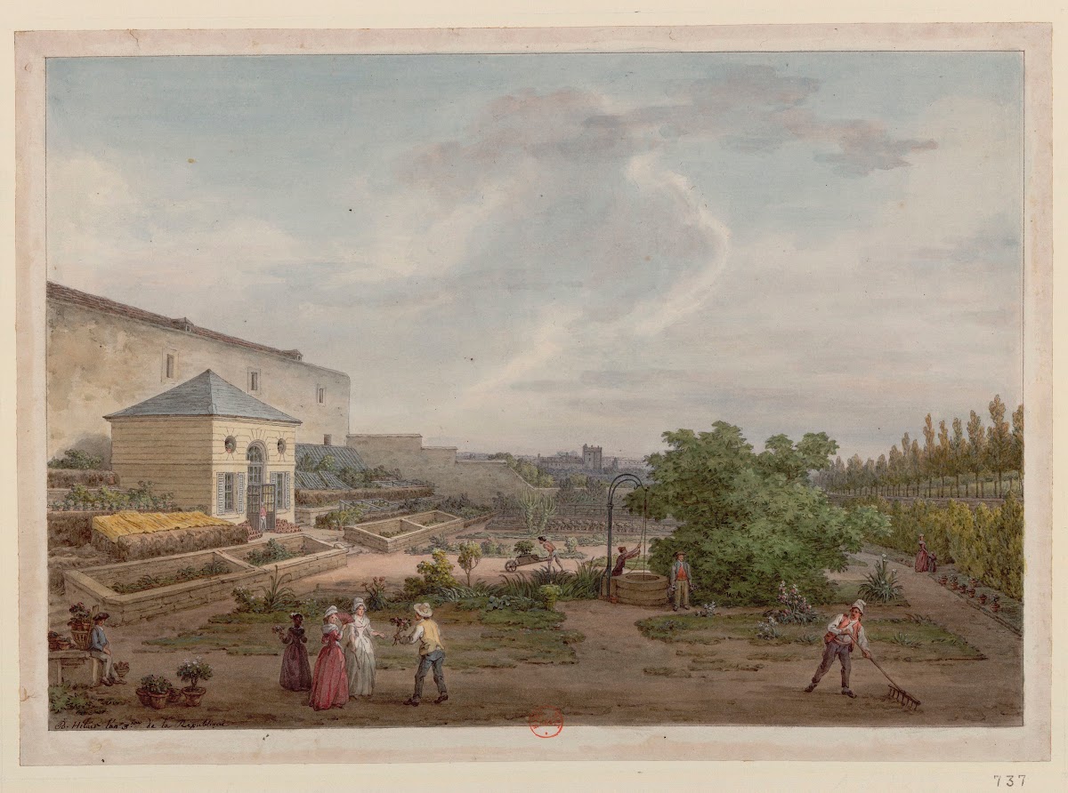Jardin du Roy Les serres 1794